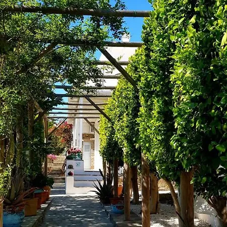 La Casa Di Dolly לינה וארוחת בוקר Galanado