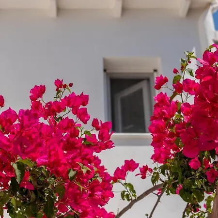 לינה וארוחת בוקר La Casa Di Dolly Galanado