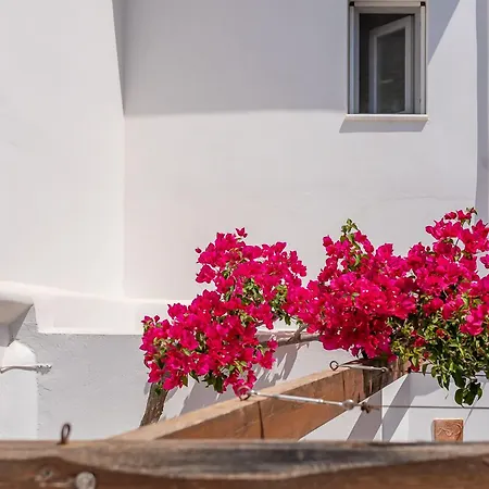 La Casa Di Dolly Bed & Breakfast Galanado