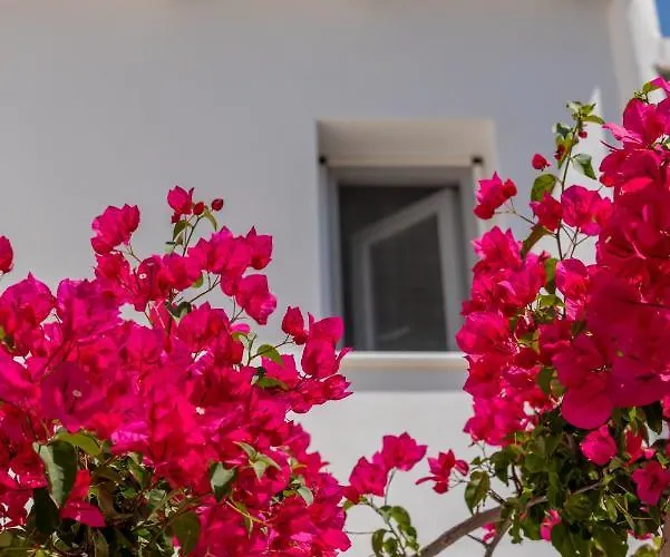 B&B La Casa Di Dolly Galanado