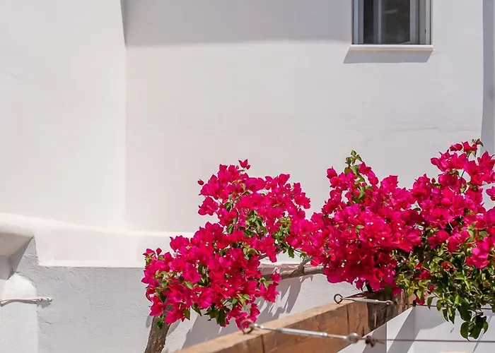 La Casa Di Dolly B&B Galanado